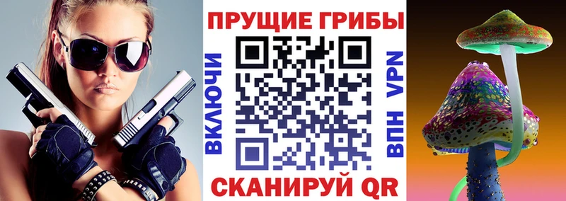 Галлюциногенные грибы мицелий  Купить закладки  Гудермес 
