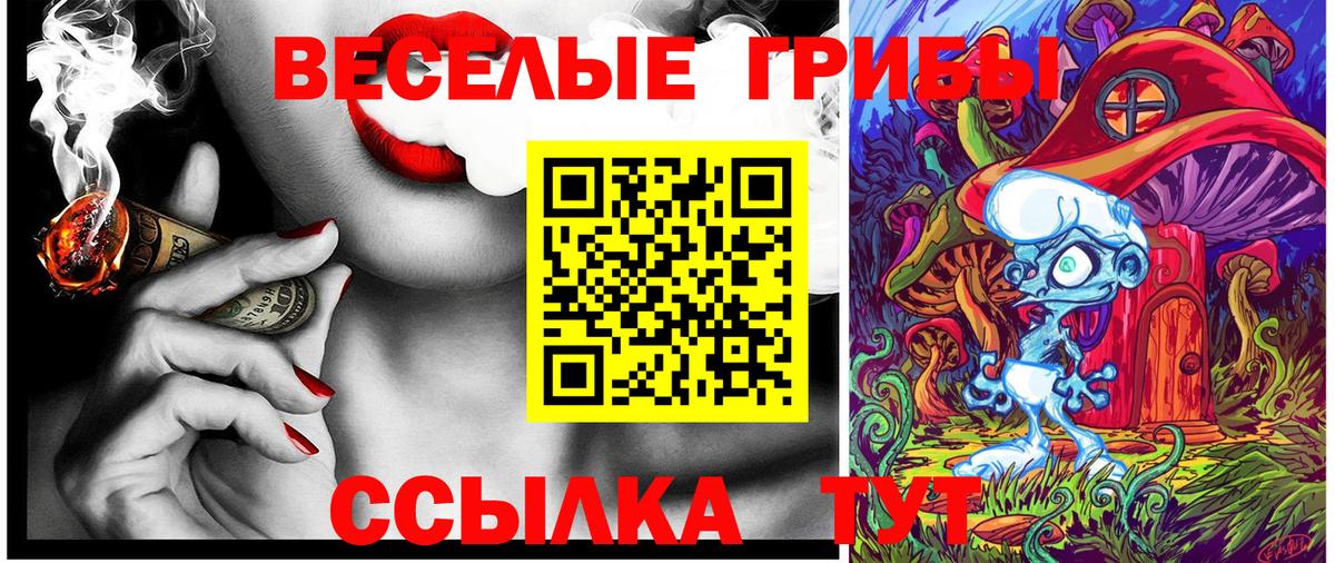 Гудермес  Псилоцибиновые грибы GOLDEN TEACHER  Вход с VPN 