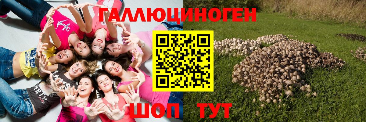 Псилоцибиновые грибы ЛСД  купить наркоту  Гудермес  Галлюциногенные грибы прущие грибы 